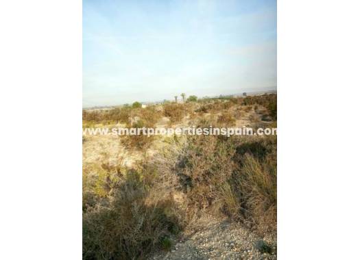 Revente - Terrain - Elche