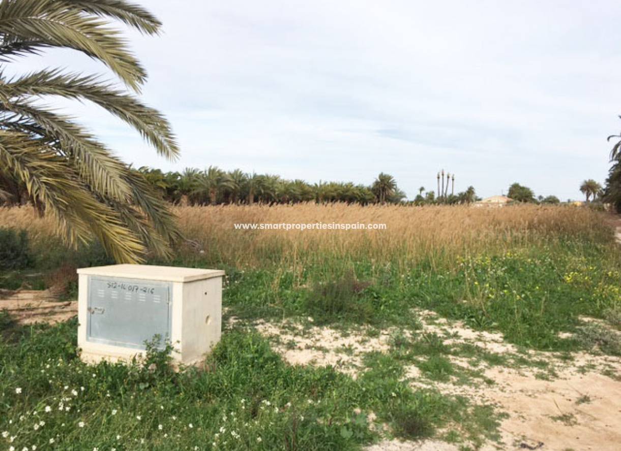 Revente - Terrain - Elche