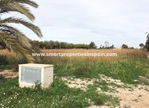 Revente - Terrain - Elche