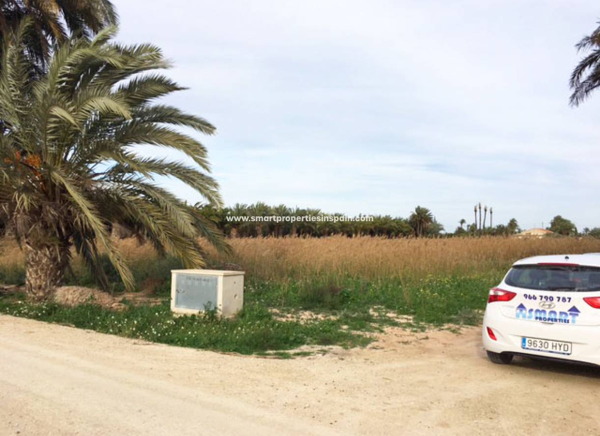 Revente - Terrain - Elche