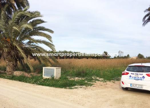 Revente - Terrain - Elche