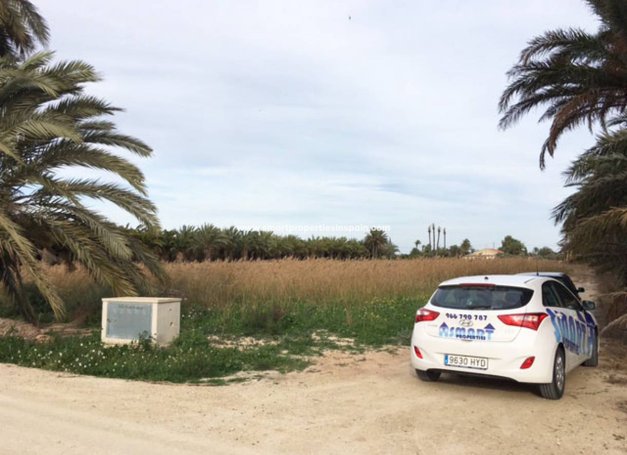 Revente - Terrain - Elche