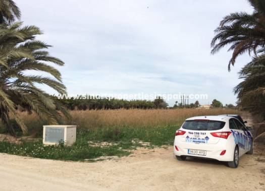 Revente - Terrain - Elche