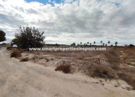 Revente - Terrain - Elche