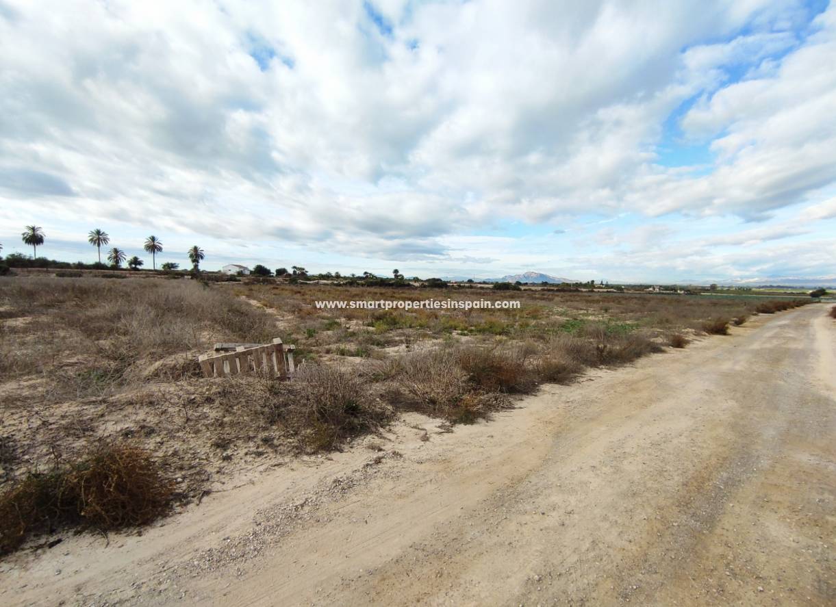 Revente - Terrain - Elche