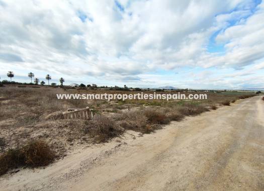 Revente - Terrain - Elche