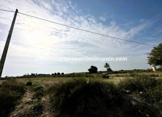 Revente - Terrain - Elche