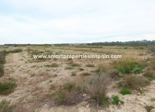 Revente - Terrain - La Marina - Elche