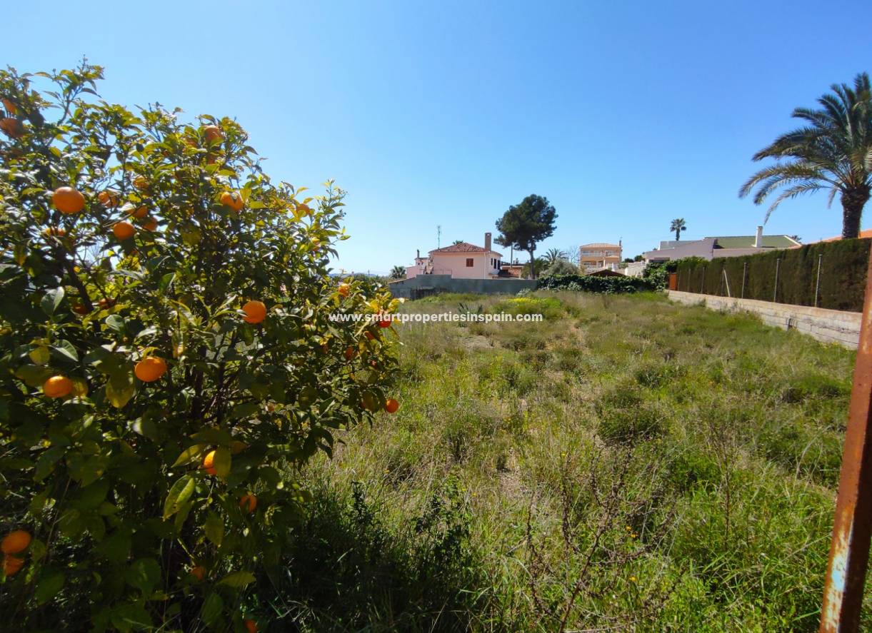 Revente - Terrain - La Marina - Urbanización La Marina