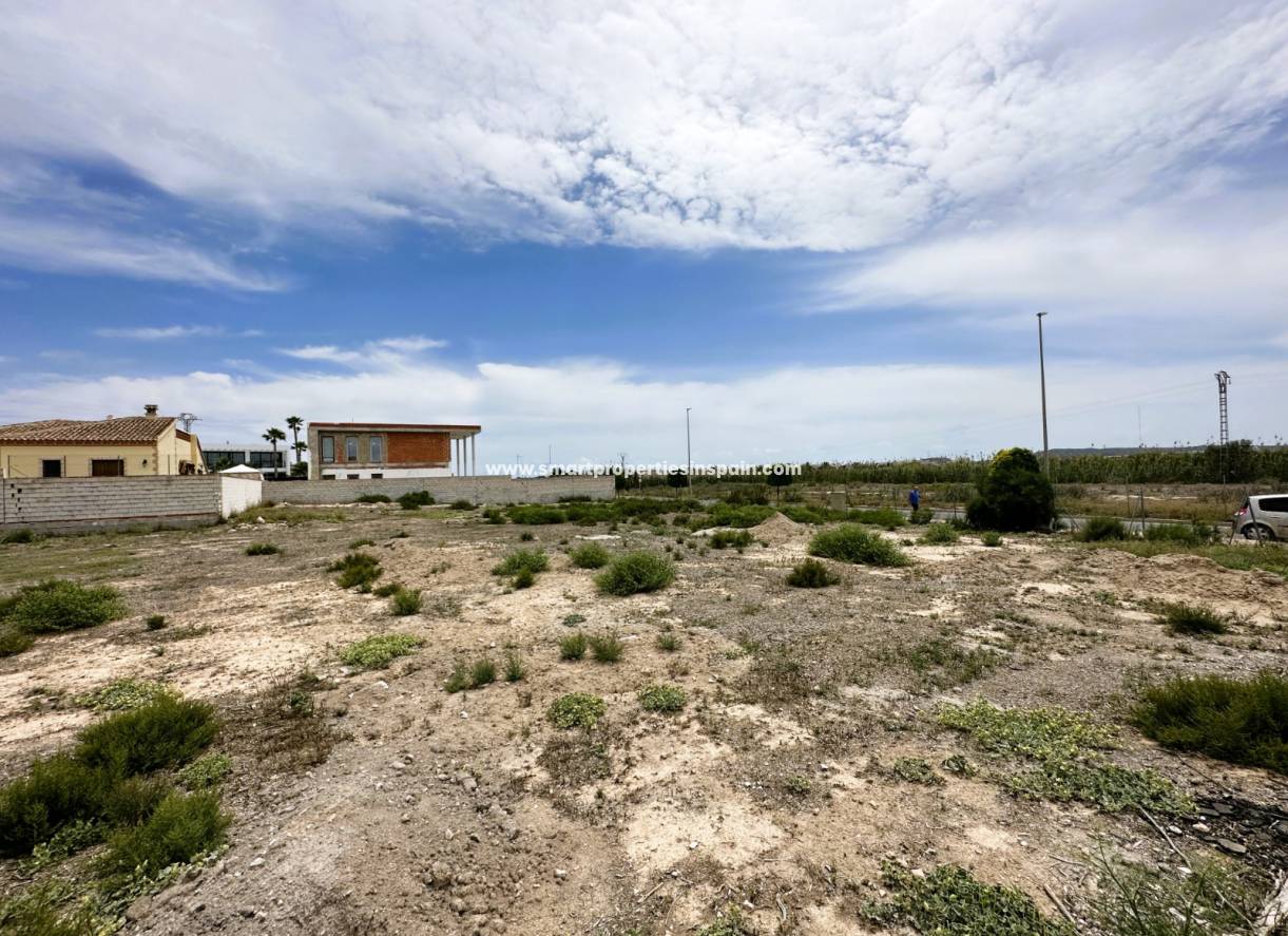 Revente - Terrain - La Marina - Urbanización La Marina