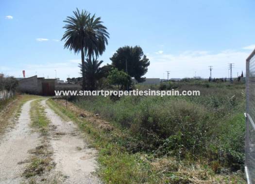 Revente - Terrain - La Marina - Urbanización La Marina