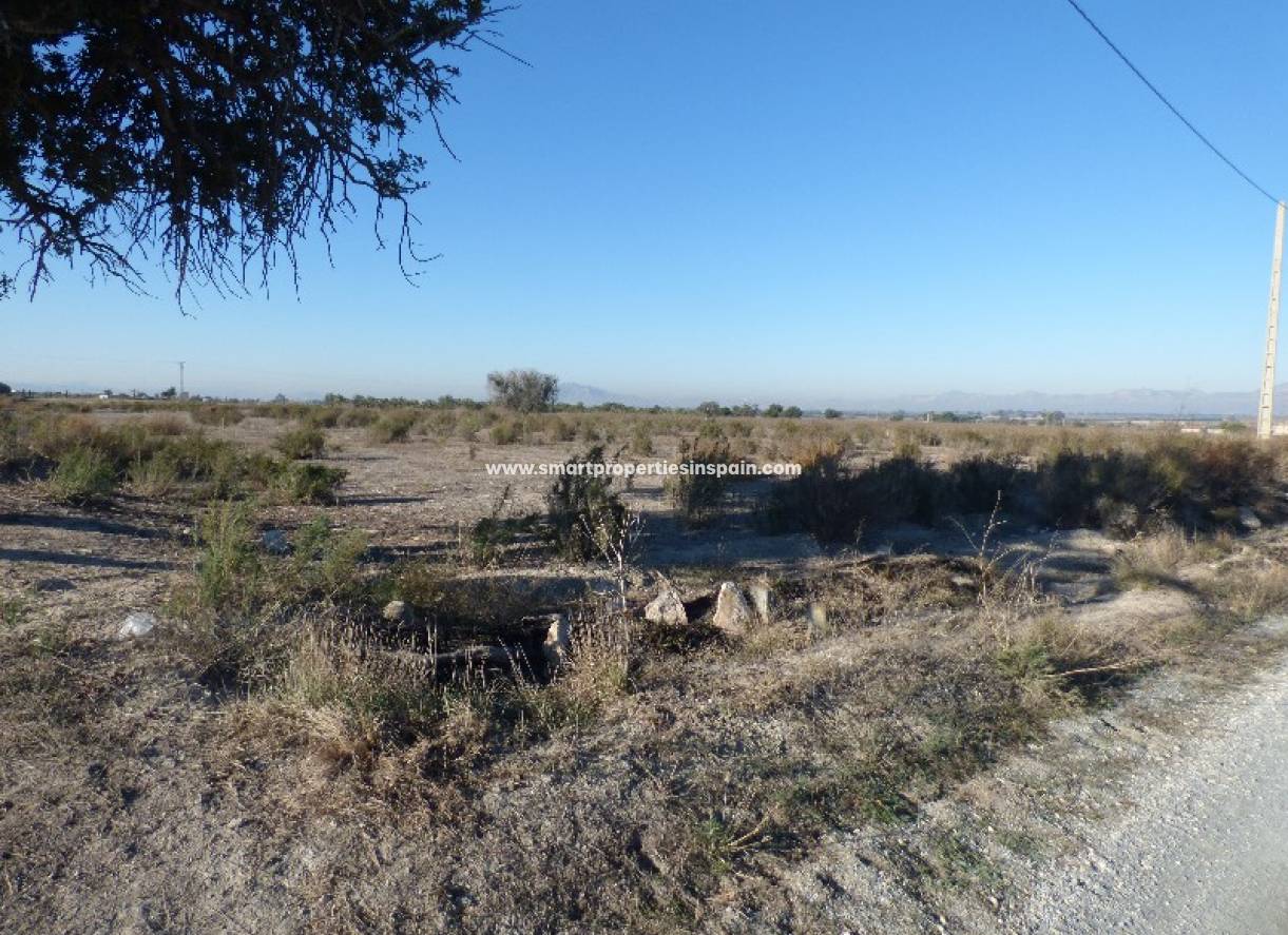 Revente - Terrain - La Marina