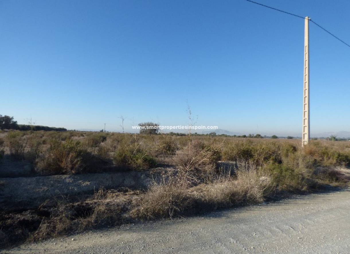 Revente - Terrain - La Marina