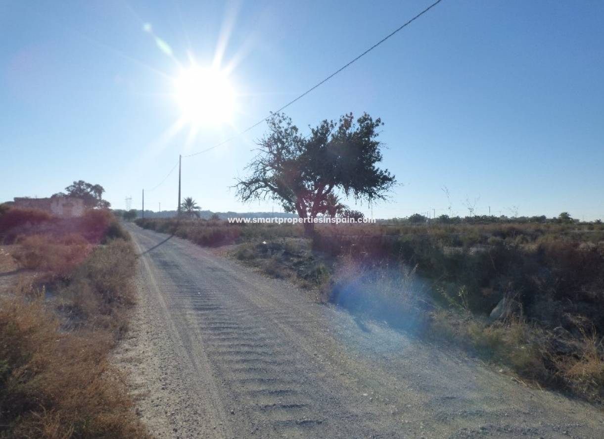 Revente - Terrain - La Marina