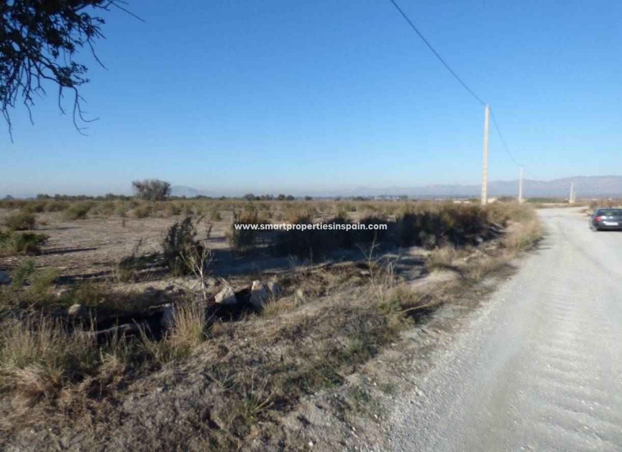 Revente - Terrain - La Marina