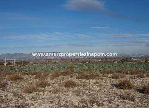 Revente - Terrain - La Marina