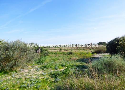 Revente - Terrain - La Marina