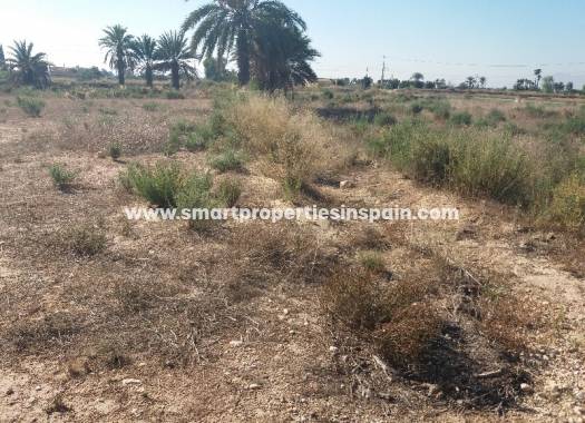 Revente - Terrain - Matola - Crevillente