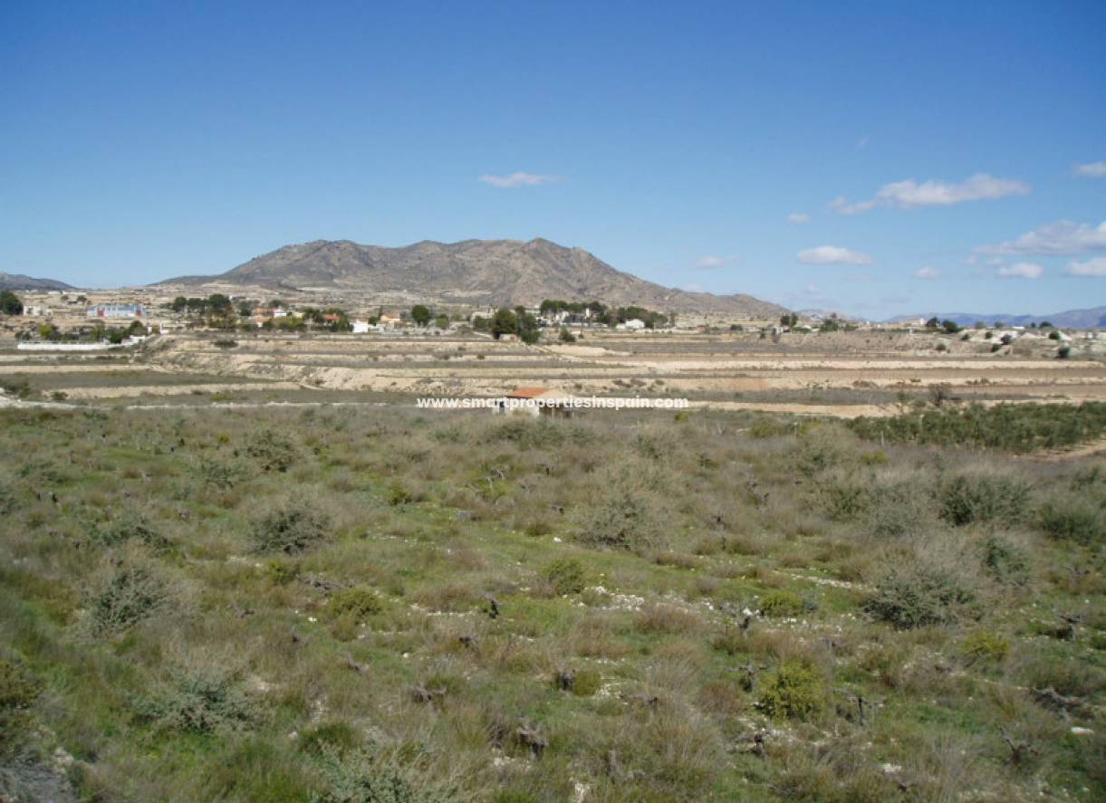 Revente - Terrain -  - Novelda/La Romana