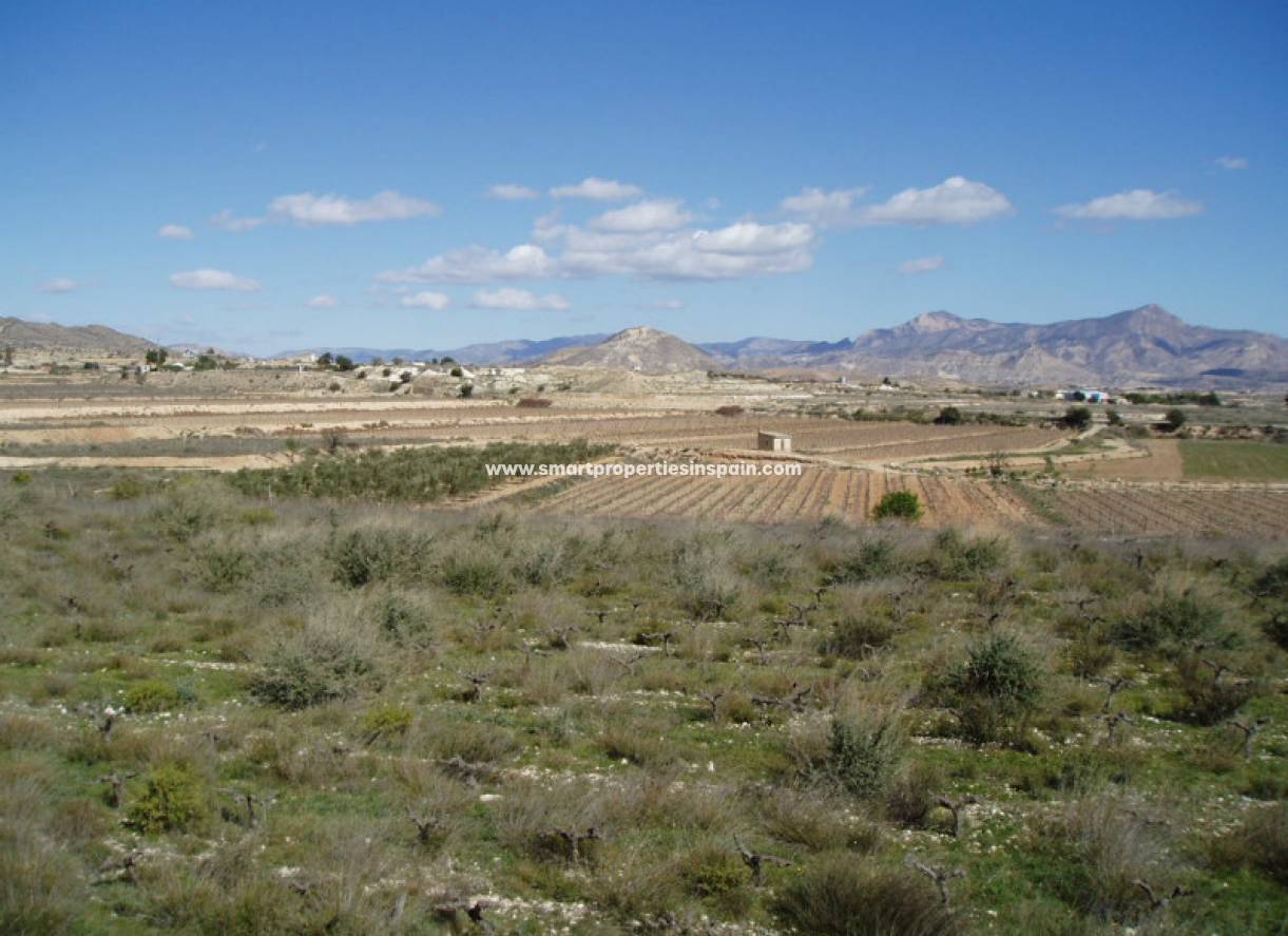 Revente - Terrain -  - Novelda/La Romana