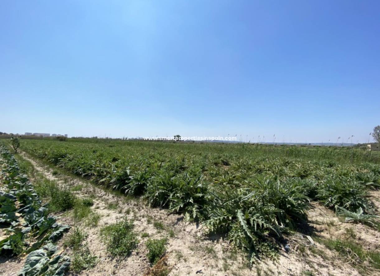 Revente - Terrain - San Fulgencio