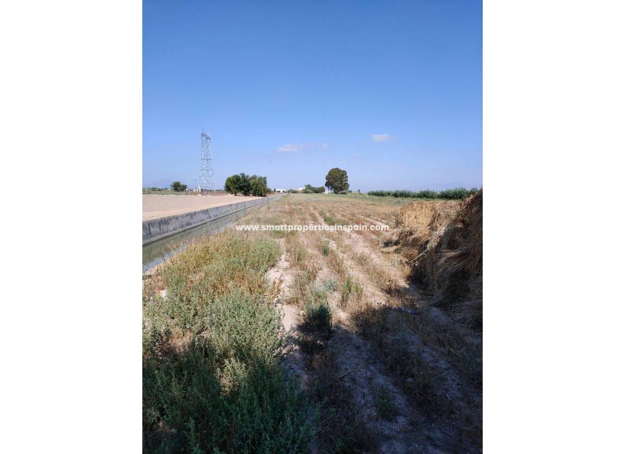Revente - Terrain - San Fulgencio