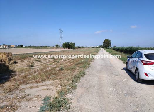 Terrain - Revent - San Fulgencio - San Fulgencio