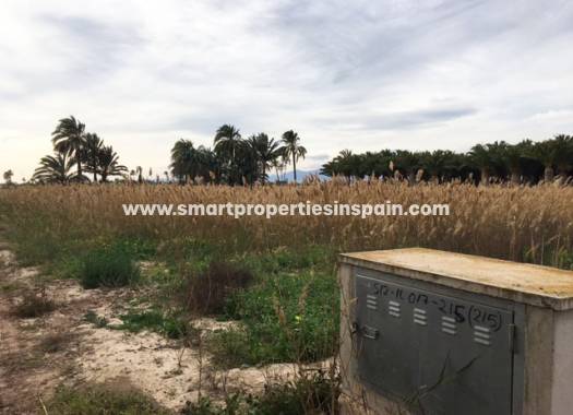 Terrain - Revente - Elche - SP3901