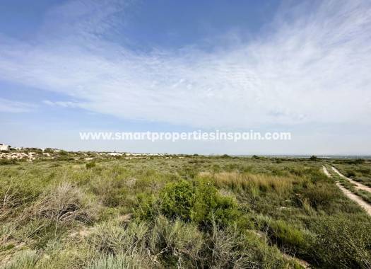 Terrain - Revente - Elche - SP4275