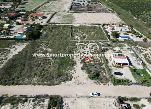 Terrain - Revente - Elche - SP4338
