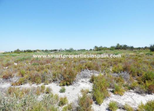 Terrain - Revente - La Marina - 2sp229