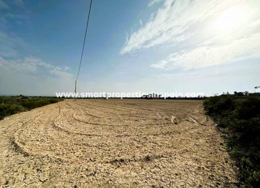 Terreno - Reventa - Elche - SP4274