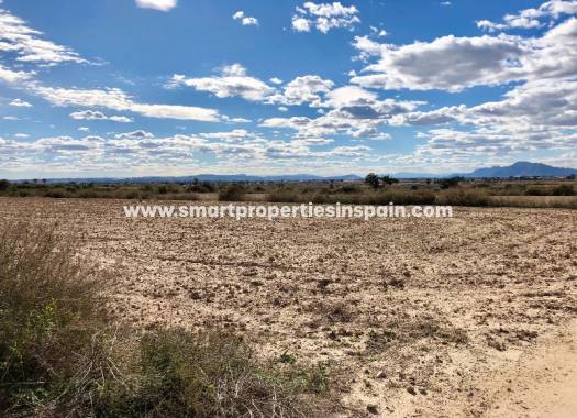 Terreno - Reventa - La Marina - SP3268