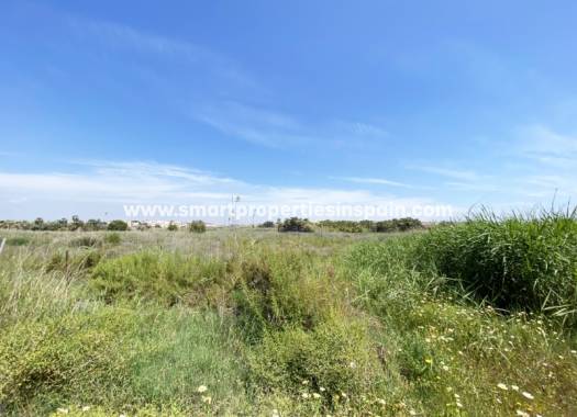 Terreno - Reventa - San Fulgencio - SP3887