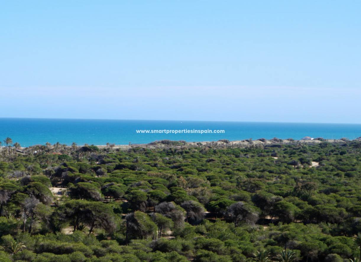 Wederverkoop - apartement - Guardamar  - Guardamar del Segura