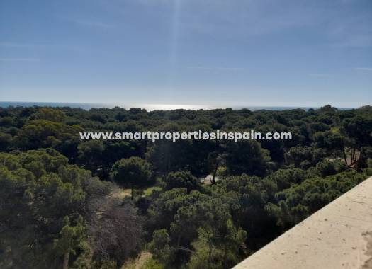 Wederverkoop - apartement - Guardamar  - Guardamar