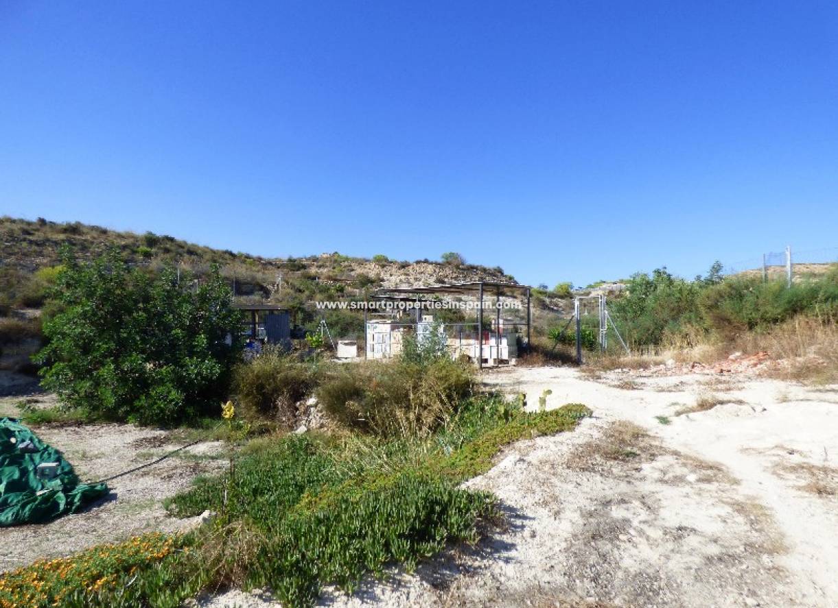 Wederverkoop - Country House - Crevillente
