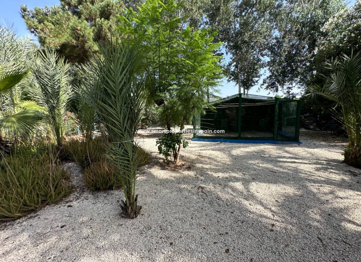 Wederverkoop - Country House - Crevillente