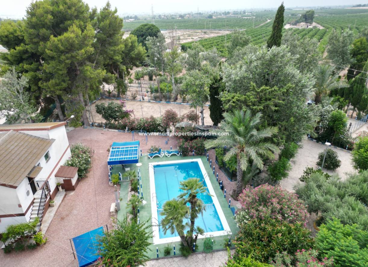Wederverkoop - Country House - Crevillente