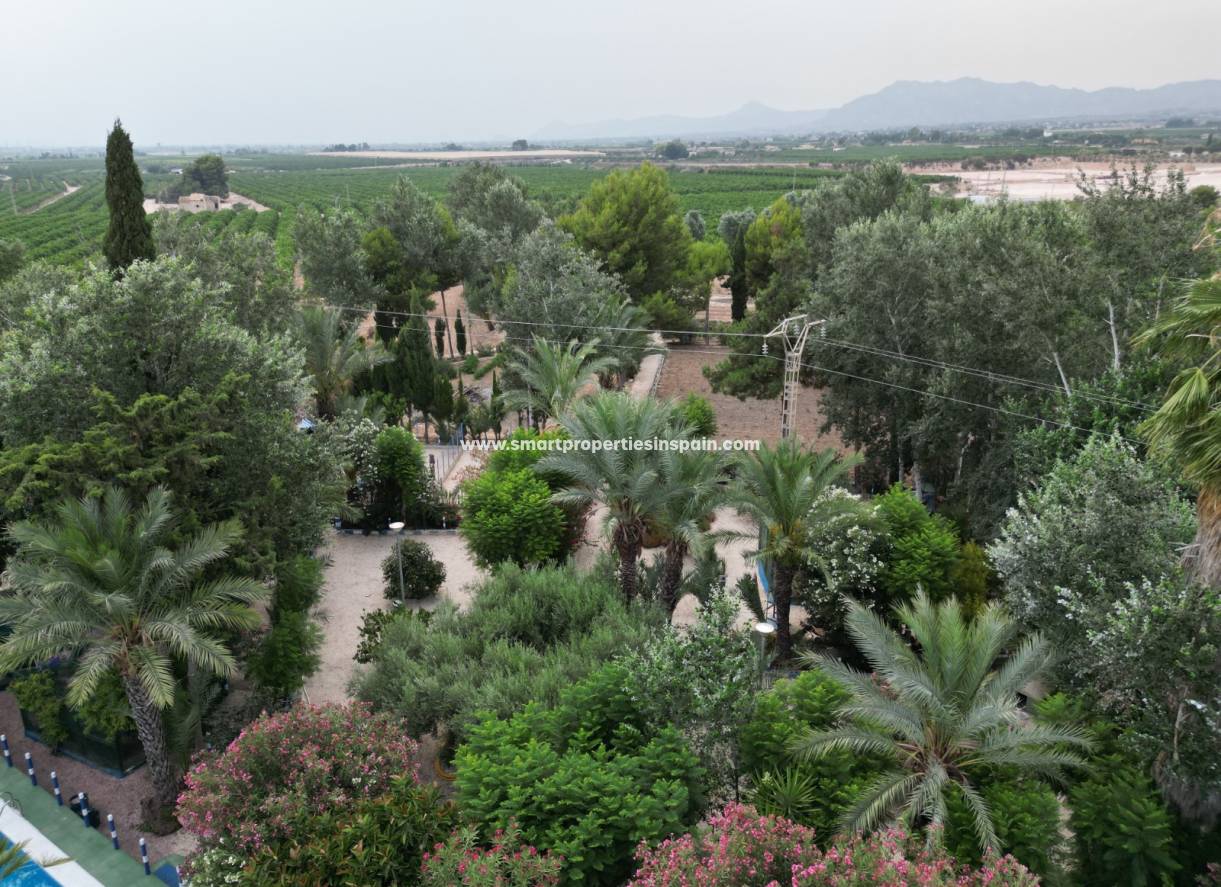 Wederverkoop - Country House - Crevillente