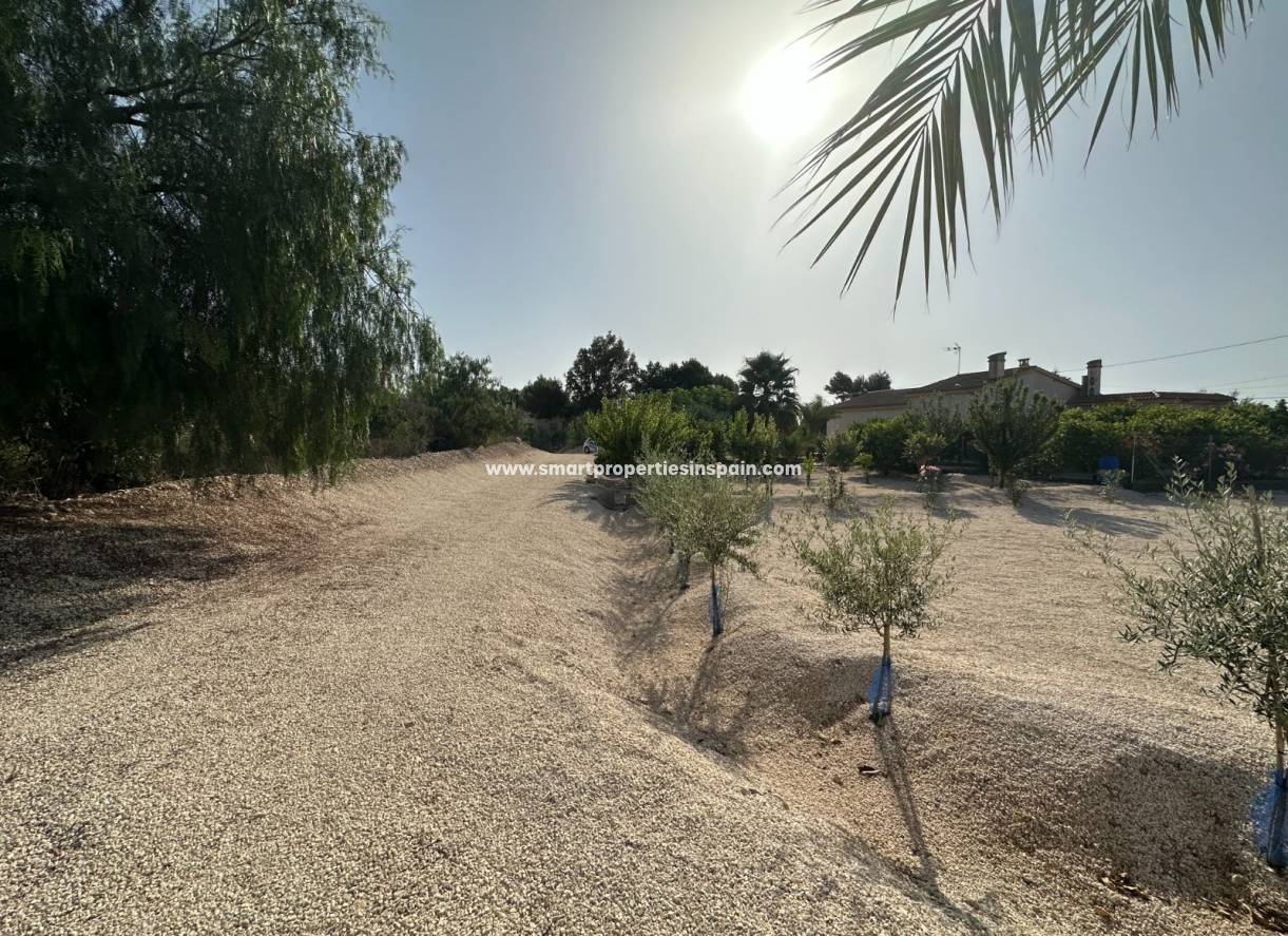 Wederverkoop - Country House - Crevillente