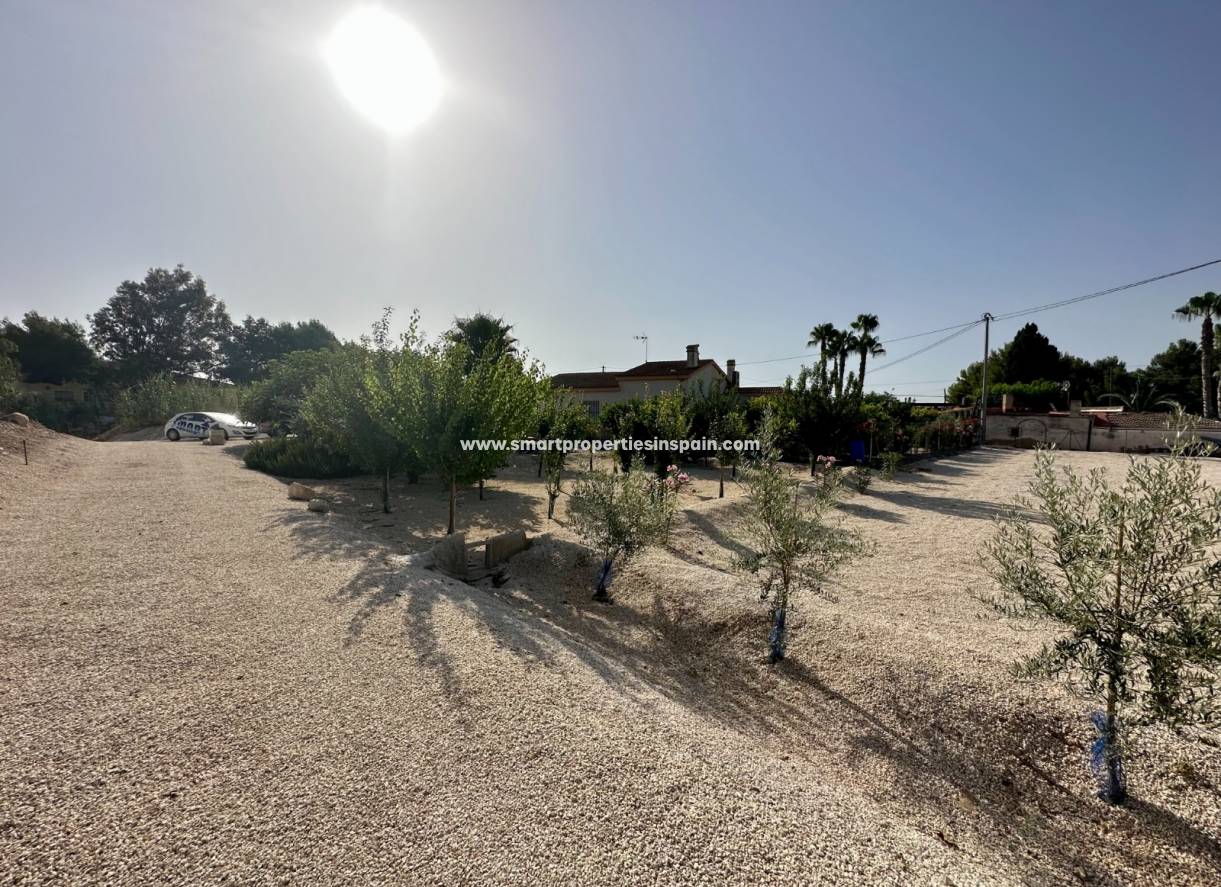 Wederverkoop - Country House - Crevillente
