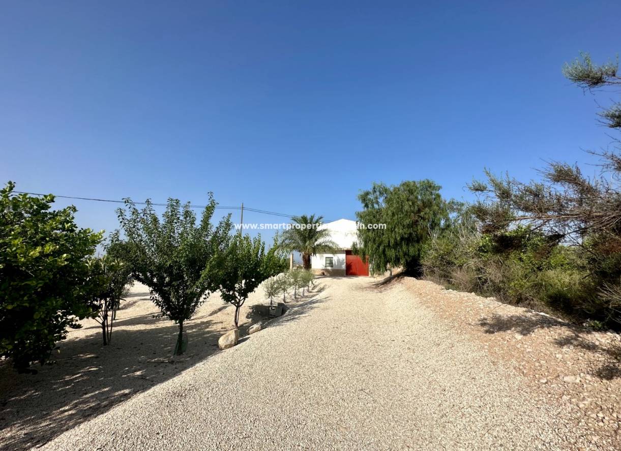 Wederverkoop - Country House - Crevillente