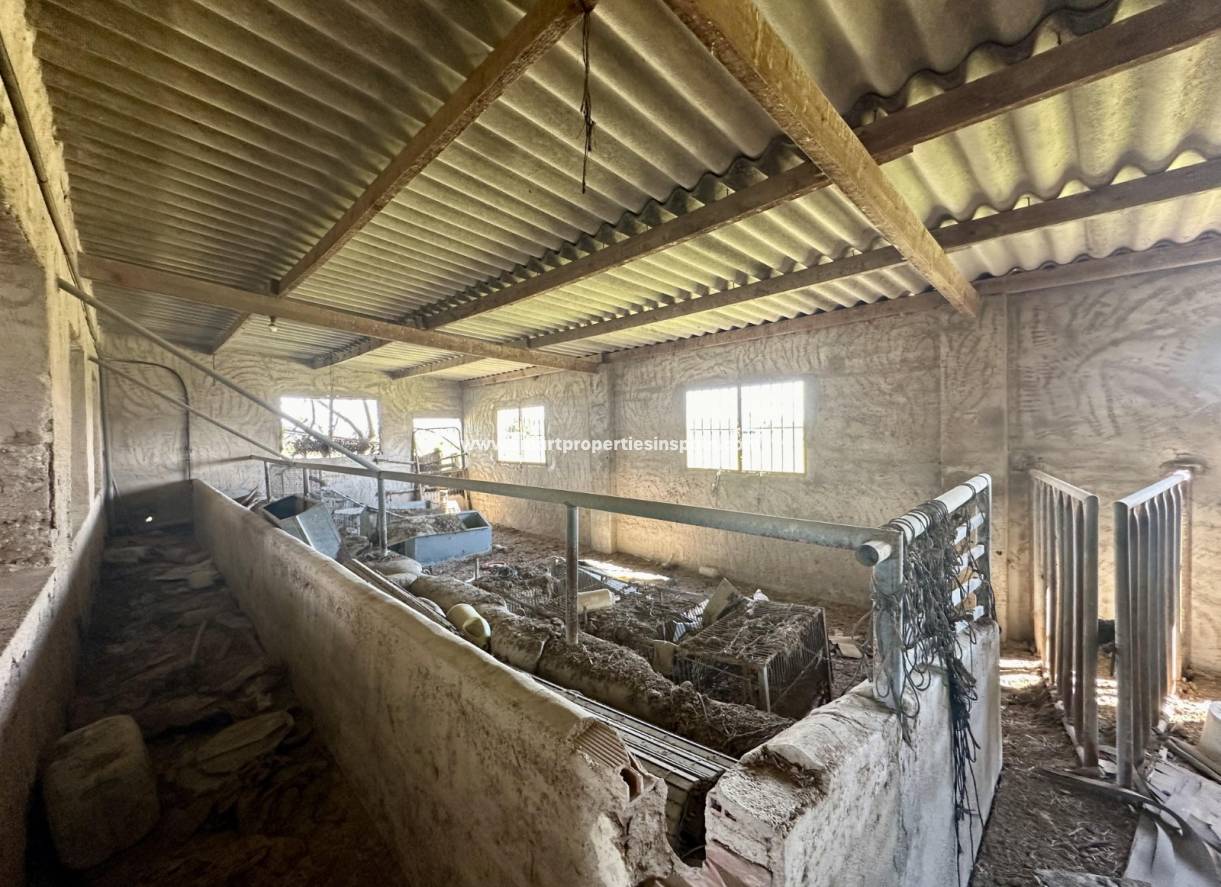 Wederverkoop - Country House - Dolores - dolores