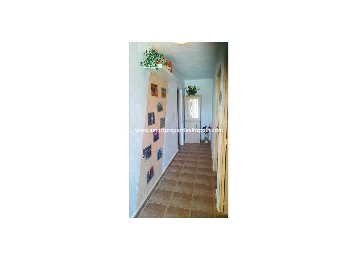 Wederverkoop - Country House - Elche - La hoya