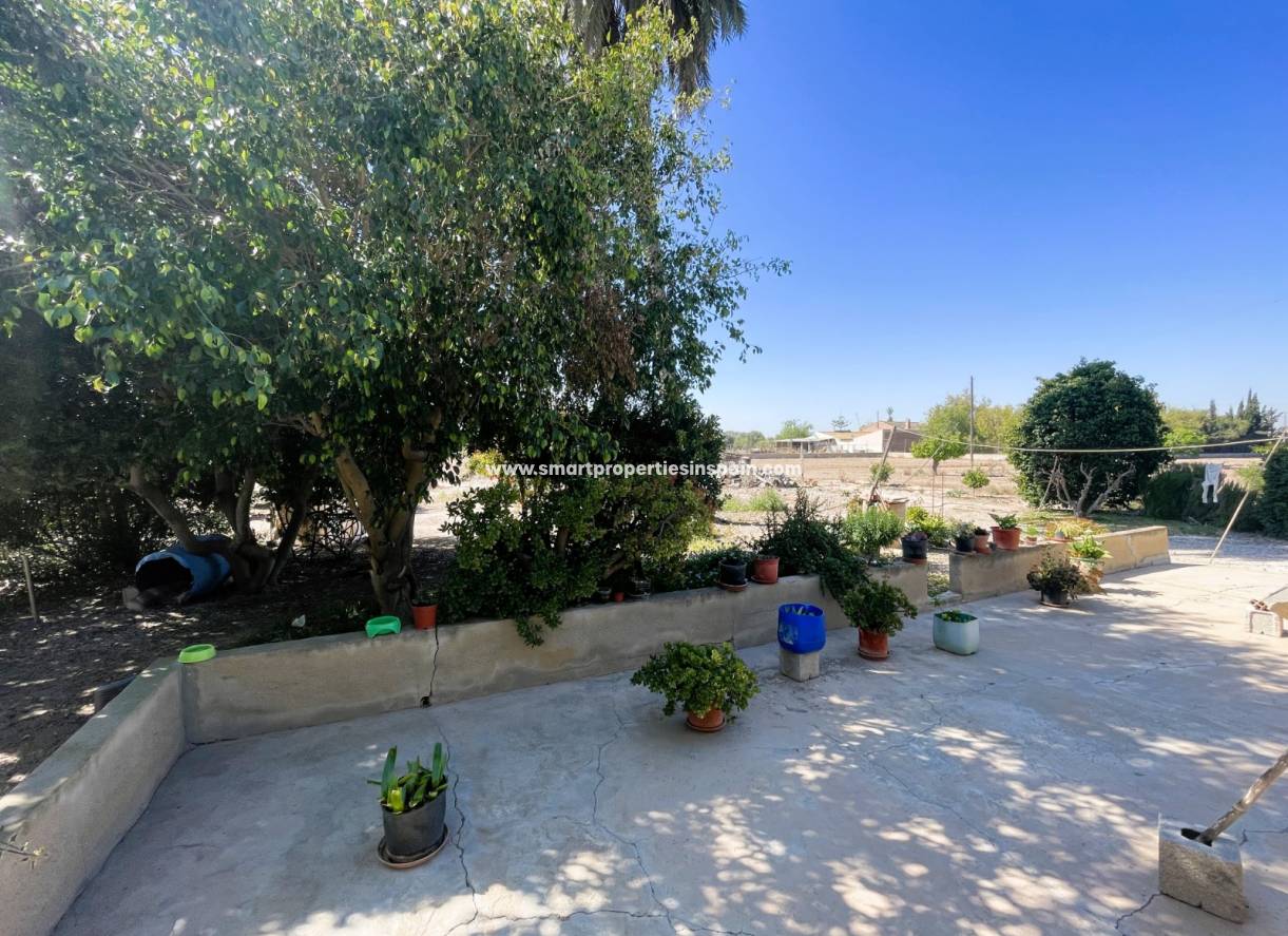 Wederverkoop - Country House - Elche - La hoya