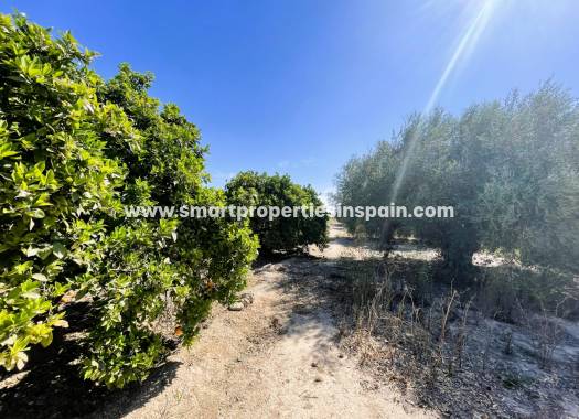 Wederverkoop - Country House - Elche - La hoya