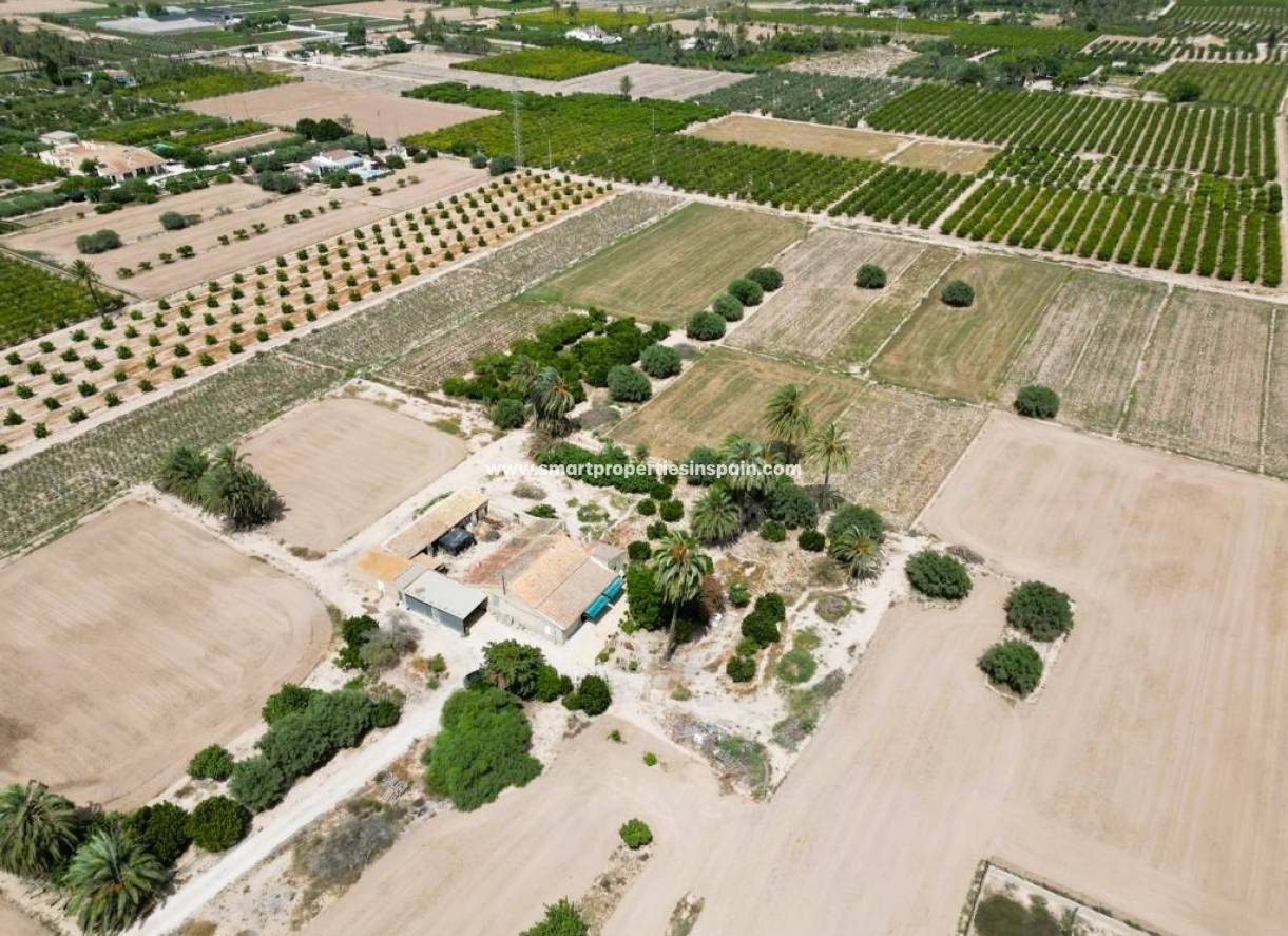 Wederverkoop - Country House - Elche - La hoya