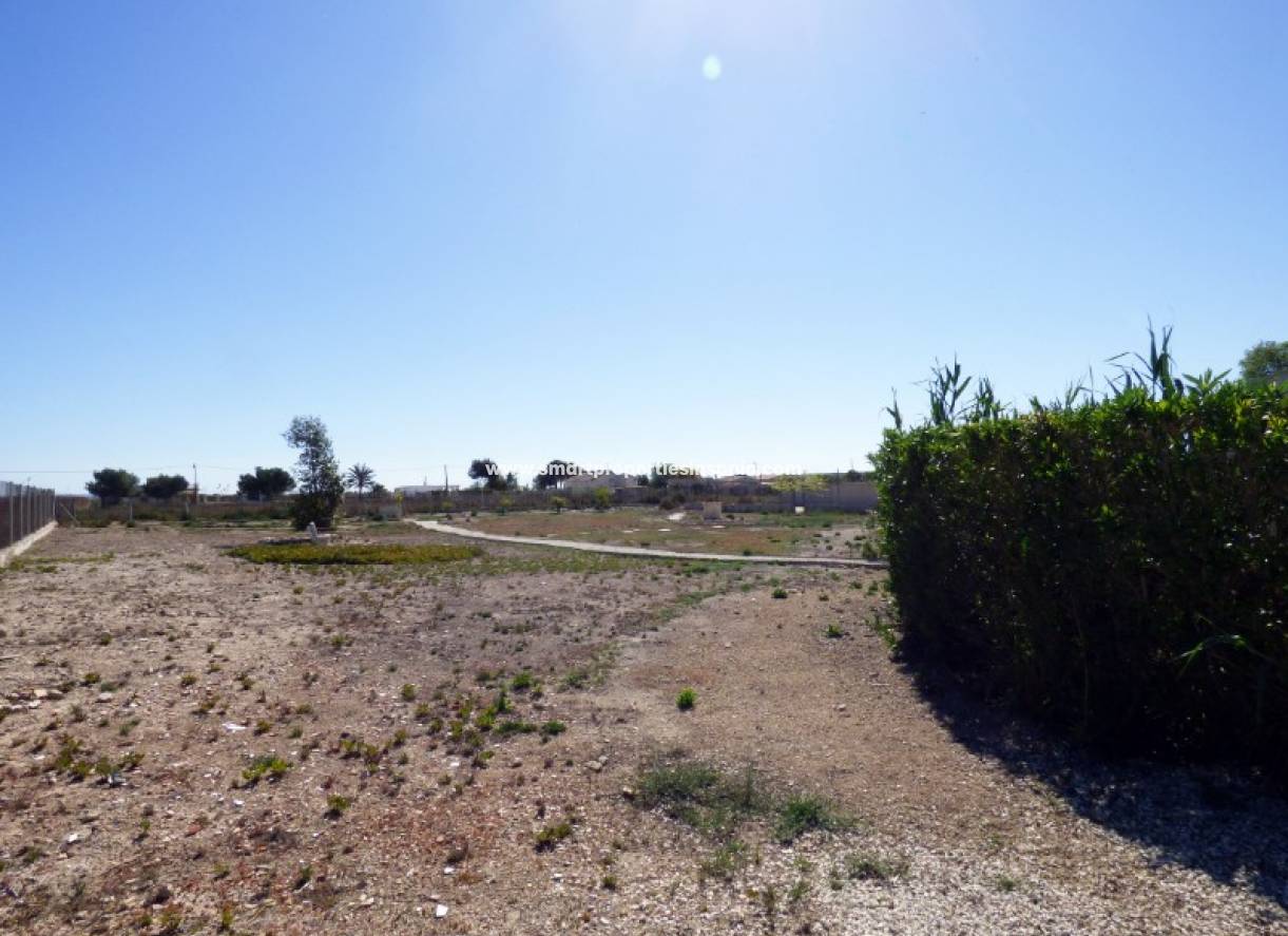 Wederverkoop - Country House - Elche