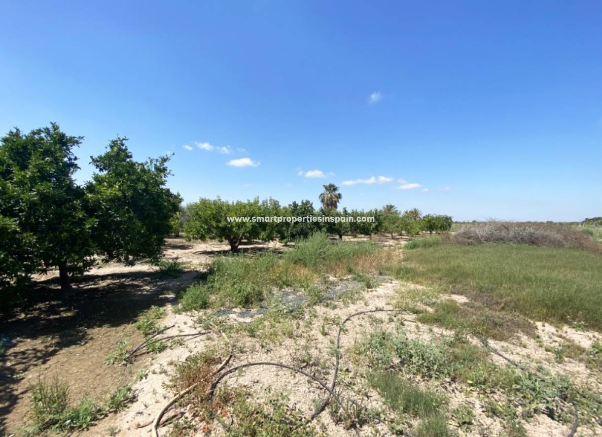 Wederverkoop - Country House - Elche
